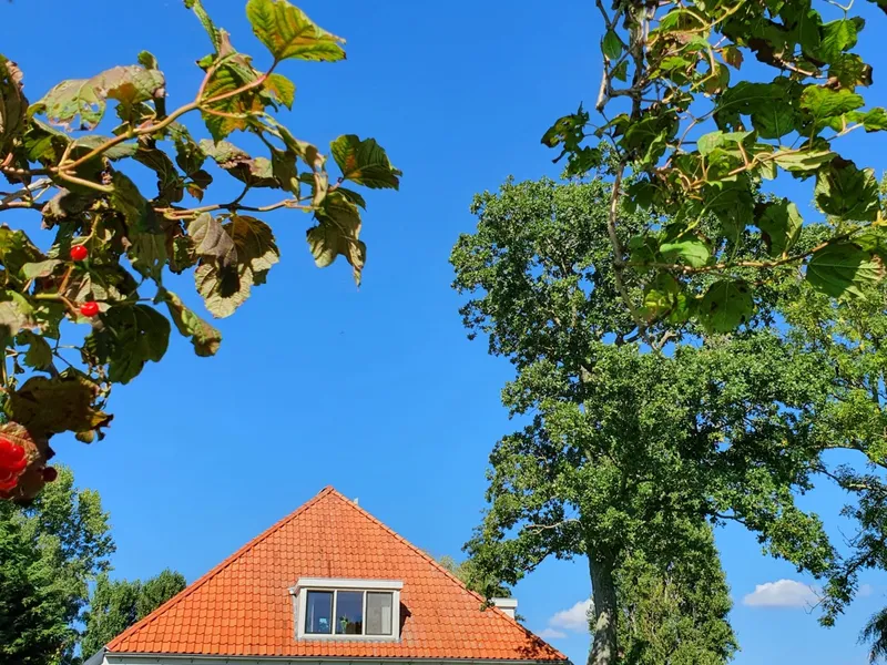 Vrijzicht, de rietgedekte woonboerderij