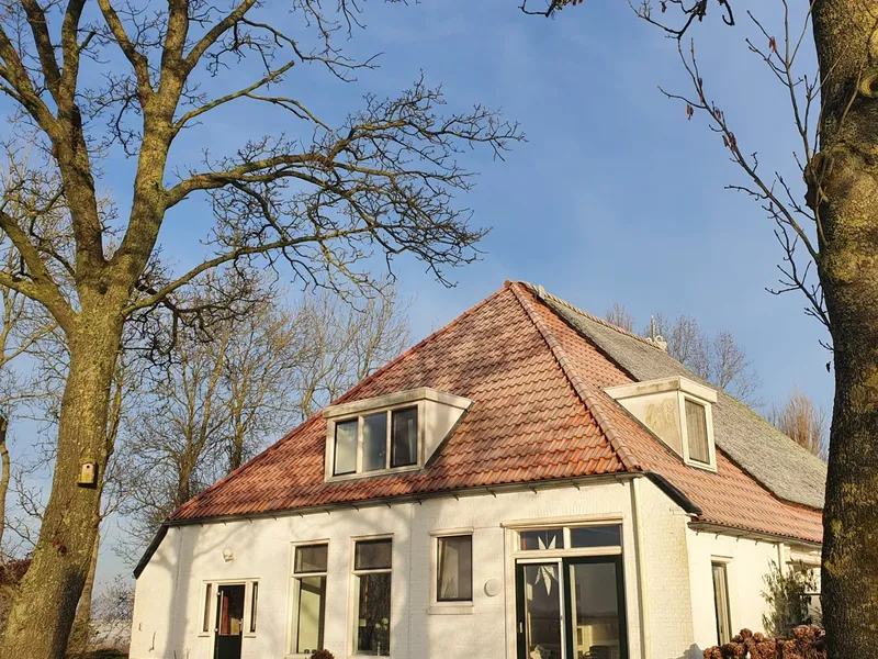 Vrijzicht in de winter